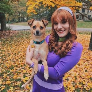 Meet your Posher, Taylor